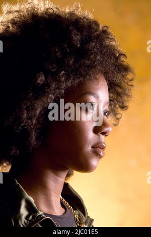 Ritratto di donna africana con afro Foto Stock