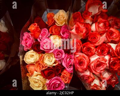 Vendita di rose confezionate di vari colori in vendita in un negozio di fiori di retil Foto Stock