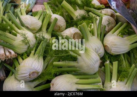 Finocchio bulbi sfondo. Mercato agricolo all'aperto di verdure fresche biologiche, punto di vendita al dettaglio in primo piano ad Amsterdam. Foeniculum vulgare Firenze finocchio o fi Foto Stock