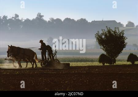 Uomini che utilizzano l'aratro trainato da cavalli in Amish Farm, Lancaster, Lancaster County, Pennsylvania, USA Foto Stock