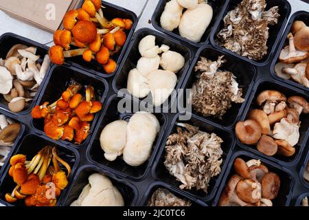 Contenitori di funghi gourmet misti in un mercato agricolo Foto Stock