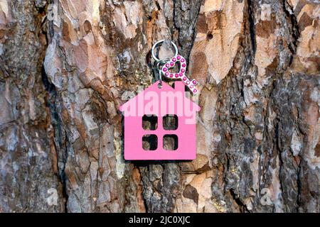 Piccola chiave decorata con rhinestones che ha una casa rosa portachiavi appende su un tronco di albero all'aperto. Dolce casa concetto. Foto Stock
