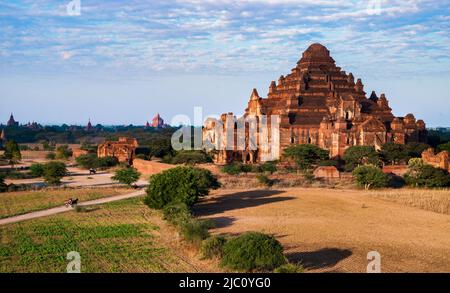 La carrozza a cavallo, al tempio Dhammayangyi Bagan, Bagan, Myanmar Foto Stock