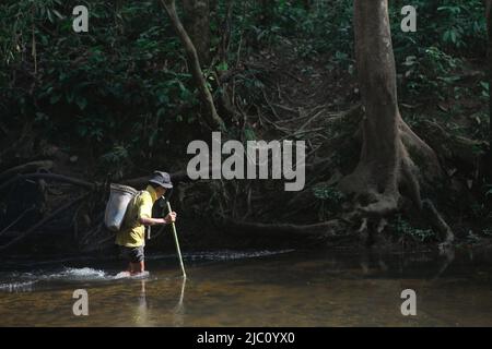 Un uomo anziano che attraversa un torrente durante un incarico di comunità per la fonte di acqua pulita e l'installazione di acqua che si trova in profondità nella foresta. L'impianto fornisce acqua dolce alla comunità IBAN di Dayak che vive nella solitaria di Sungai Utik, Batu Lintang, Embaloh Hulu, Kapuas Hulu, West Kalimantan, Indonesia. Foto Stock