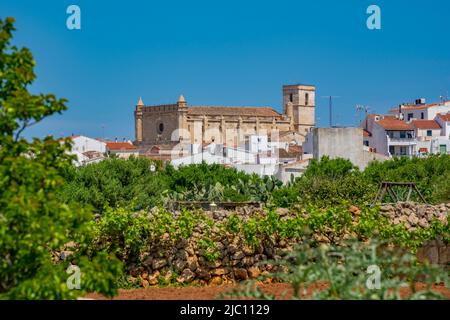 Vista delle quote e della chiesa di Santa Eulàlia d’Alaior ad Alaior, Minorca, Isole Baleari, Spagna, Europa Foto Stock