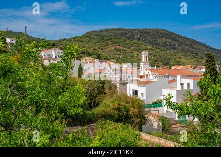 Vista di Sant Bartomeu de Ferreries e tetti da posizione elevata, Ferreries, Menorca, Isole Baleari, Spagna, Europa Foto Stock