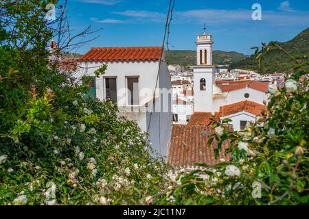 Vista di Sant Bartomeu de Ferreries e tetti da posizione elevata, Ferreries, Menorca, Isole Baleari, Spagna, Europa Foto Stock