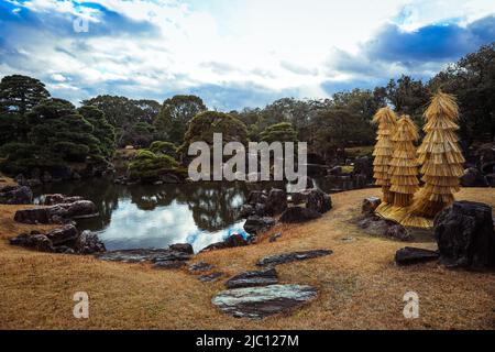 Bellissimo Castello Nijo a Kyoto, Giappone Foto Stock