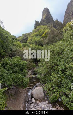IAO Valley, Iao Needle, Kuka'emoku, ago verde di roccia, USA, Maui, Iao Valley state Park Foto Stock