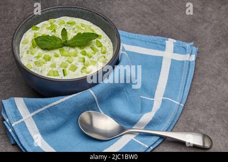 Salsa tzatziki di cetrioli freschi, menta e yogurt con limone e aglio. In una ciotola scura e un asciugamano blu su un tavolo di cemento. Cucina greca. Foto Stock