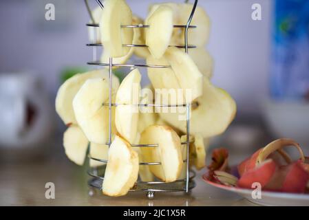 Fantasioso e creativo essiccatore di frutta in acciaio. Foto Stock