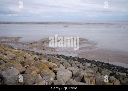 Cardiff Bay Mud Bank Foto Stock