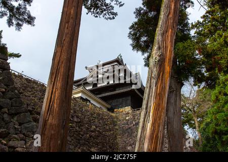 Matsue, Shimane, GIAPPONE - Dic 1 2021 : colpo ad angolo basso del castello di Matsue. Fu costruita dal 1607 al 1611 dal giapponese Daimyo Horio Yoshiharu Foto Stock