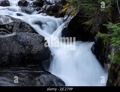 Cascate di Ruby sul fiume Paradise nel Parco Nazionale di Mount Rainier. Foto Stock