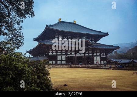 Grande Buddha tradizionale giapponese Hall Tōdai-ji sotto la pioggia nella città di Nara Foto Stock