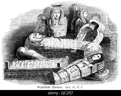 Mummie egiziane, Bibbia, Antico Testamento, primo Libro di Mosè, Genesi, Capitolo 50, versetto 2, Illustrazione storica 1850 Foto Stock