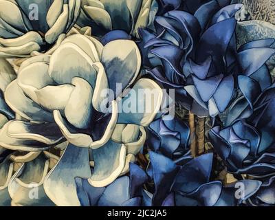 Sfondo di fiori audaci e belli in crema e blues ricco - fioritura Magnolia in prima linea - stilizzato Foto Stock