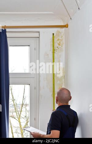 Uomo che misura l'estensione di una grande toppa di muffa o muffa che cresce dietro i tendaggi di un muro esterno bianco in una vecchia casa. Foto Stock