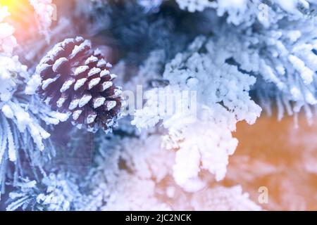 Cono di pino innevato su un ramo nella neve, decorazioni natalizie con un bel bagliore di sole, spazio copia. Foto di alta qualità Foto Stock