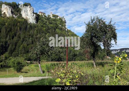 Il giovane Danubio, qui al Castello Werenwag nella Valle del Danubio Foto Stock