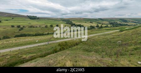 La valle del fiume Nidd vicino al lago artificiale di Scart House, al parco nazionale Yorkshire Dales, Upper Nidderdale, North Yorkshire, Regno Unito. Foto Stock