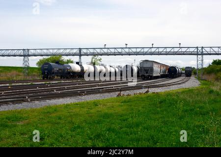 Autocisterne ferroviarie Procor. Trasporto ferroviario automobili catturati nel sud-ovest Ontario Canada. Foto Stock