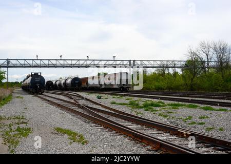 Autocisterne ferroviarie Procor. Trasporto ferroviario automobili catturati nel sud-ovest Ontario Canada. Foto Stock