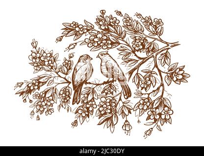 Uccelli carini con disegno di ramo di albero. Vettore concetto di amore. Disegno disegnato a mano in stile d'incisione vintage Illustrazione Vettoriale