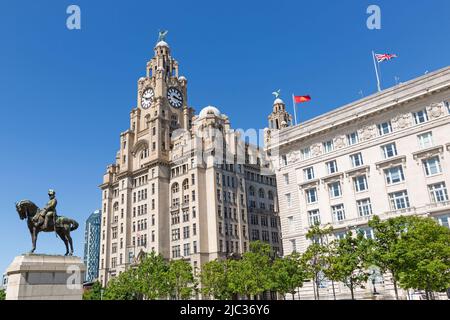 Statua di Edward VII, Royal Liver Building e Cunard Building, Pier Head, Liverpool, Inghilterra, Regno Unito Foto Stock