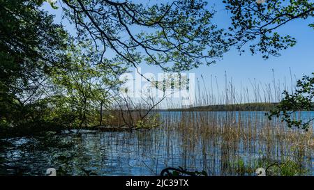 Bella vista del paesaggio sul lago orientale di Plauer vedere vicino Lenz Foto Stock