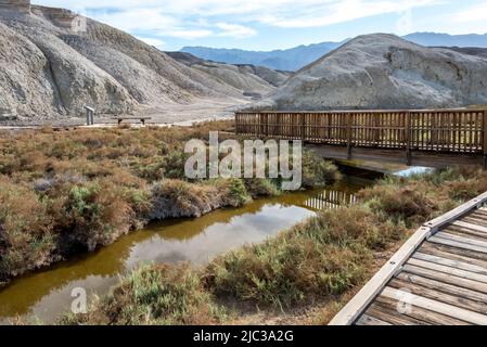 Salt Creek scorre sotto un ponte nella Death Valley, dove i visitatori possono conoscere un raro pesce cucù su questo percorso interpretativo sul lungomare. Foto Stock