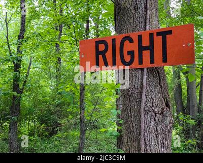 Segno di legno arancione chiaro con testo a destra su un tronco di albero in una foresta verde Foto Stock