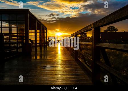 Hel, Voivodeship Pomeraniano / Polonia - Giugno 2 2022: Molo di osservazione e passeggiata in legno sul Parco delle dune di Hel, Polonia, Penisola di Hel. Foto Stock