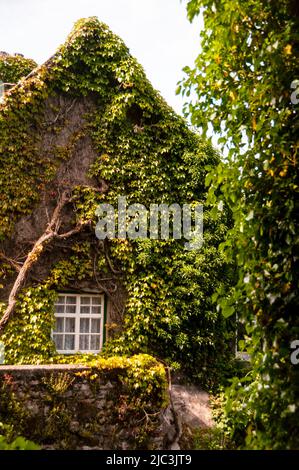 Verdant Cong, Irlanda. Foto Stock