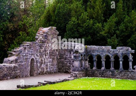 Chiostri gotici alle rovine dell'abbazia di Cong a Cong, Irlanda. Foto Stock