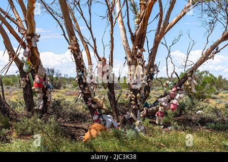 Animali ripieni / giocattoli in alberi lungo la Barrier Highway appena ad ovest di Wilcannia, nuovo Galles del Sud Foto Stock