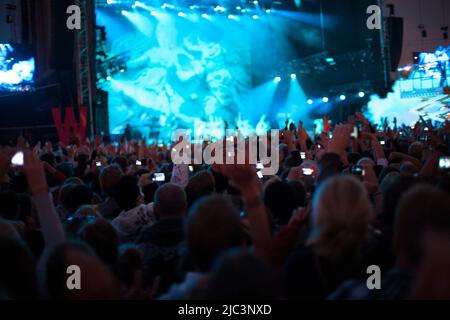 Folla di Festival Foto Stock