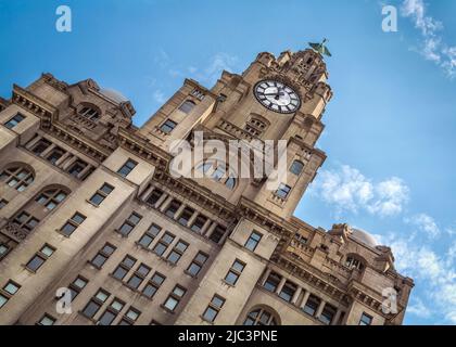 Royal Liver Building nel centro di Liverpool. Foto Stock