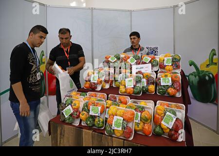 Gaza. 9th giugno 2022. Gli agricoltori palestinesi partecipano a una mostra per promuovere l'agricoltura sicura a Gaza, il 9 giugno 2022. Credit: Rizek Abdeljawad/Xinhua/Alamy Live News Foto Stock