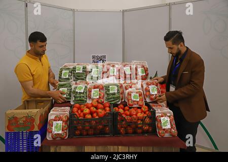 Gaza. 9th giugno 2022. Gli agricoltori palestinesi partecipano a una mostra per promuovere l'agricoltura sicura a Gaza, il 9 giugno 2022. Credit: Rizek Abdeljawad/Xinhua/Alamy Live News Foto Stock