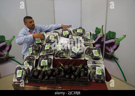 Gaza. 9th giugno 2022. Un agricoltore palestinese partecipa a una mostra per promuovere un'agricoltura sicura a Gaza, il 9 giugno 2022. Credit: Rizek Abdeljawad/Xinhua/Alamy Live News Foto Stock