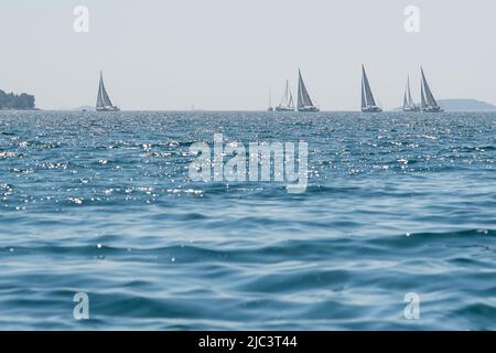 Gli yacht gareggiano in team sailing, Croazia Foto Stock