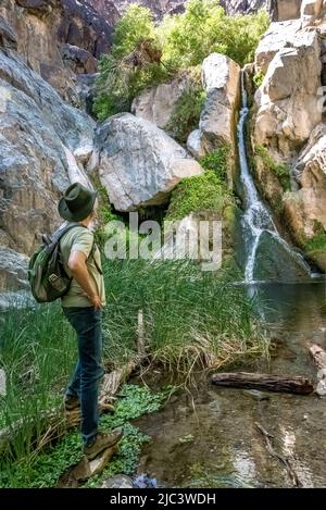 Un uomo si alza guardando le Cascate Darwin, una cascata nella Valle della morte occidentale raggiungibile con una breve escursione, che assomiglia alla Torre Eiffel. Foto Stock