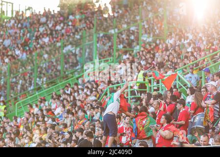 Giugno 09, 2022. Lisbona, Portogallo. Tifosi portoghesi durante il torneo finale della Lega delle Nazioni UEFA tra Portogallo e Czechia credito: Alexandre de Sousa/Alamy Live News Foto Stock