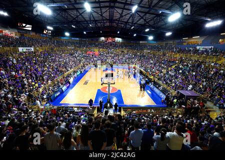 Franca, Brasile. 09th giugno 2022. SP - Franca - 06/09/2022 - NBB 2022, FRANCA X FLAMENGO - Franca tifosi durante una partita contro Flamengo per la finale NBB 2022 a Pedrocao Foto: Thiago Calil/AGIF/Sipa USA Credit: Sipa USA/Alamy Live News Foto Stock