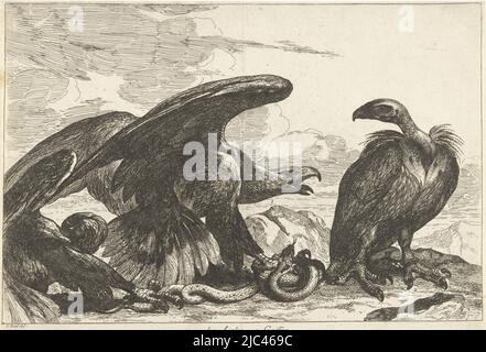 In un paesaggio roccioso, un'aquila e un avvoltoio lotta su un serpente, Vulture e un'aquila con serpente 1. Des Aigles 2. Griffon (titolo sull'oggetto) Uccelli della Menagerie Versailles (titolo della serie), tipografo: Peeter Boel, (attribuito a), disegnatore intermedio: Peeter Boel, (menzionato sull'oggetto), editore: De Poilly, (menzionato sull'oggetto), Parigi, 1670 - 1674, carta, incisione, h 250 mm x l 358 mm Foto Stock