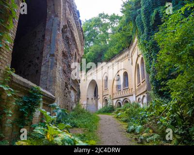 Fortezza abbandonata fuori, rovinata cittadella boscosa Tarakaniv, Ucraina Foto Stock