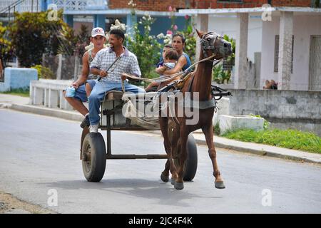 Persone cubane su un carrozza trainata da cavalli, trasporto popolare, l'Avana, Cuba, Caraibi Foto Stock