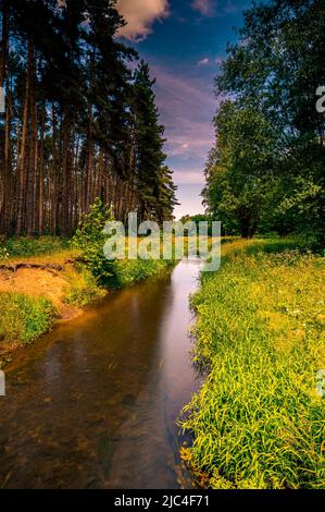 Lunga esposizione del fiume Wietze a Langenhagen nella regione di Hannover, che scorre attraverso la foresta e campi in estate con cielo blu e. Foto Stock