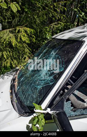 Abbandonata auto sulla foresta stradale dopo l'incidente Foto Stock